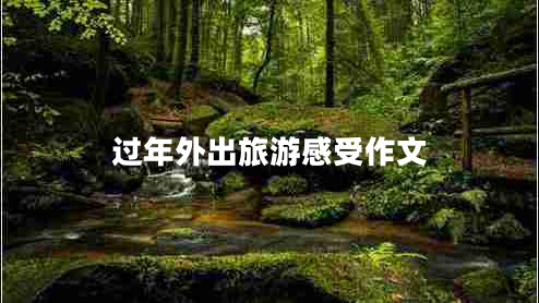 過(guò)年外出旅游感受作文