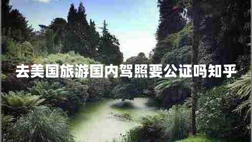 去美國(guó)旅游國(guó)內(nèi)駕照要公證嗎知乎