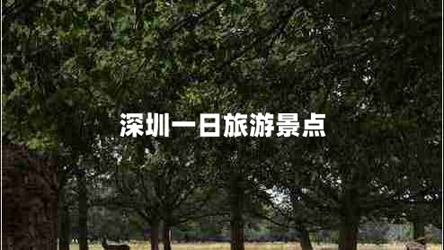 深圳一日旅游景點