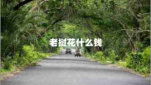老撾花什么錢