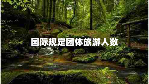 國際規(guī)定團體旅游人數(shù)