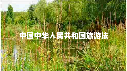 中國中華人民共和國旅游法 中國中華人民共和國旅游法