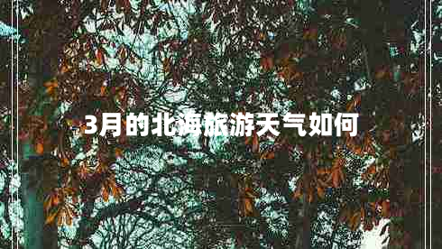 3月的北海旅游天氣如何