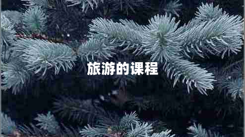 旅游的課程