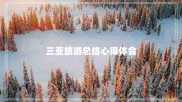 三亞旅游總結(jié)心得體會(huì)