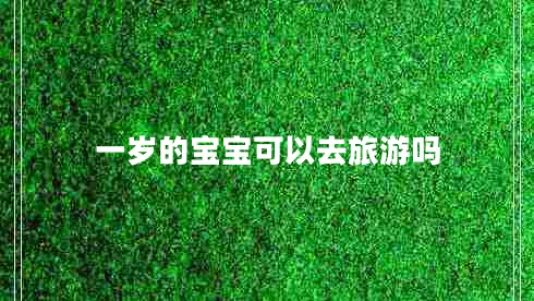 一歲的寶寶可以去旅游嗎 一歲的寶寶可以去旅游嗎