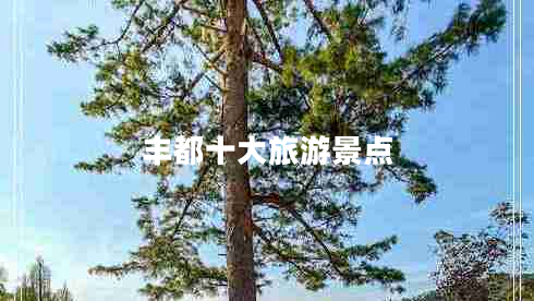 豐都十大旅游景點(diǎn) 豐都十大旅游景點(diǎn)