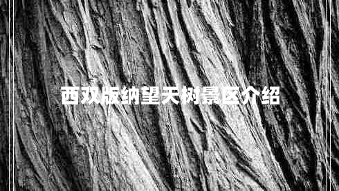 西雙版納望天樹(shù)景區(qū)介紹