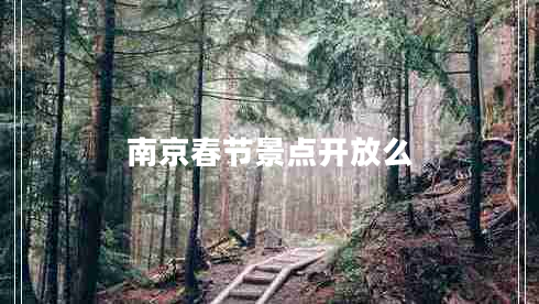 南京春節(jié)景點(diǎn)開(kāi)放么