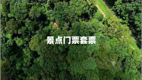 景點(diǎn)門票套票