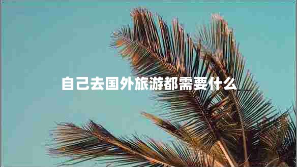 自己去國外旅游都需要什么