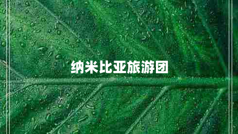 納米比亞旅游團