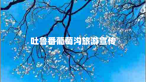 吐魯番葡萄溝旅游宣傳