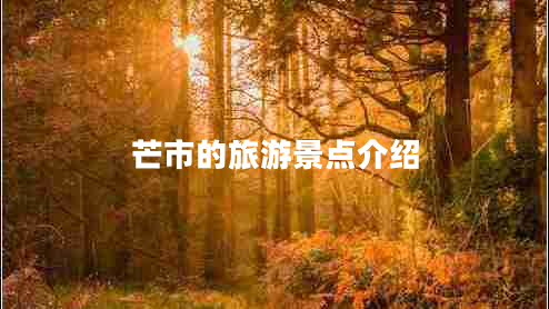 芒市的旅游景點(diǎn)介紹