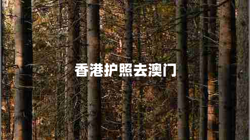 香港護(hù)照去澳門 香港護(hù)照去澳門