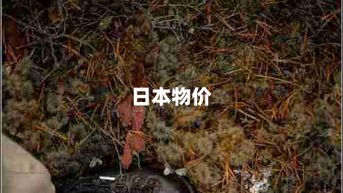 日本物價(jià) 日本物價(jià)