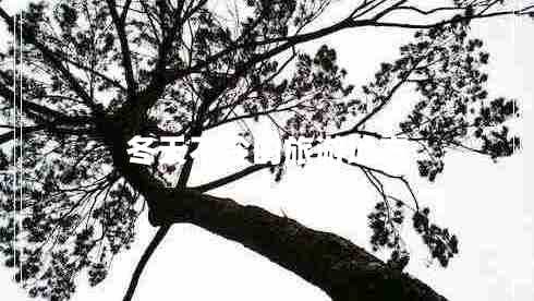 冬天不冷的旅游地方