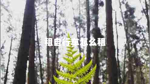 租自行車怎么租 租自行車怎么租