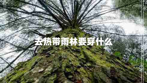 去熱帶雨林要穿什么 去熱帶雨林要穿什么