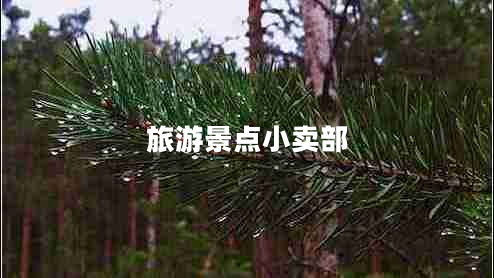 旅游景點(diǎn)小賣(mài)部