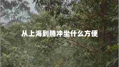 從上海到騰沖坐什么方便