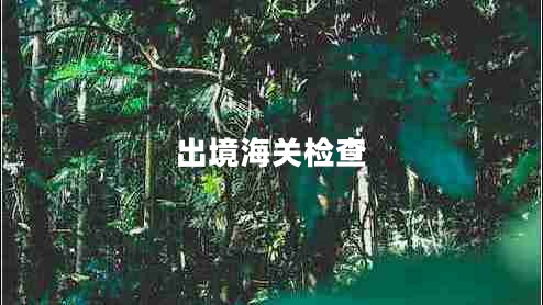 出境海關(guān)檢查