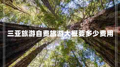 三亞旅游自費旅游大概要多少費用