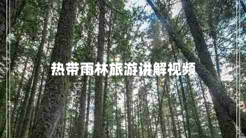 熱帶雨林旅游講解視頻