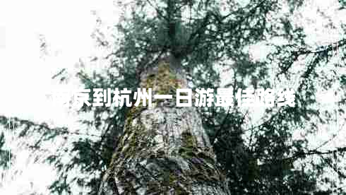 南京到杭州一日游最佳路線 南京到杭州一日游最佳路線