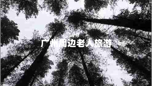 廣州周邊老人旅游