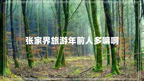 張家界旅游年前人多嘛啊