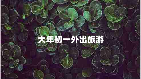 大年初一外出旅游
