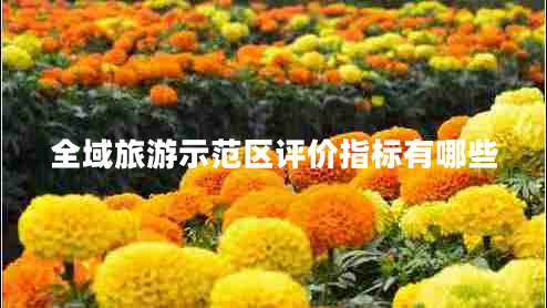 全域旅游示范區(qū)評價指標有哪些