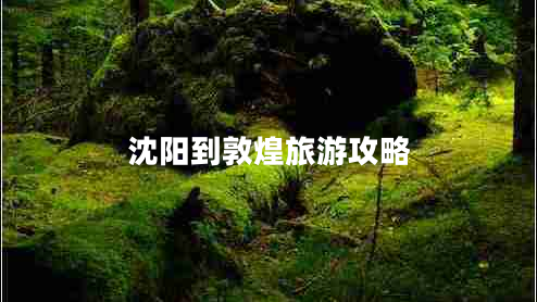 沈陽(yáng)到敦煌旅游攻略