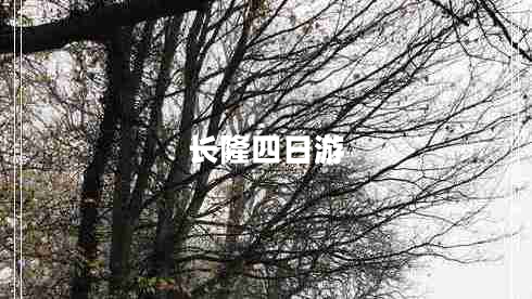 長(zhǎng)隆四日游