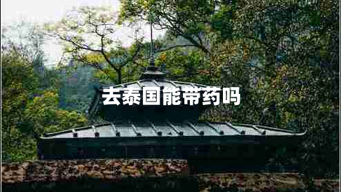 去泰國(guó)能帶藥嗎