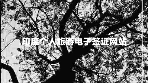 印度個(gè)人旅游電子簽證網(wǎng)站 印度個(gè)人旅游電子簽證網(wǎng)站