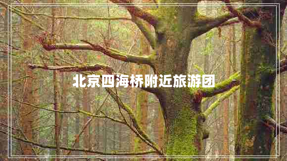 北京四海橋附近旅游團(tuán)