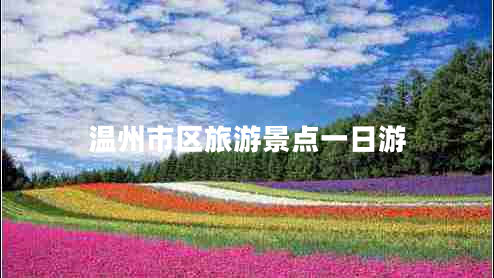 溫州市區(qū)旅游景點一日游