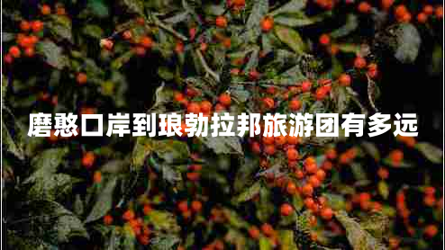 磨憨口岸到瑯勃拉邦旅游團(tuán)有多遠(yuǎn)