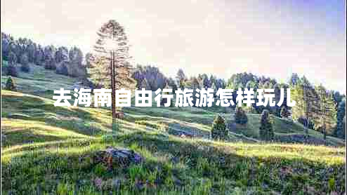 去海南自由行旅游怎樣玩兒