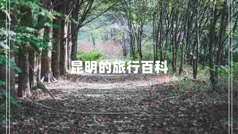 昆明的旅行百科 昆明的旅行百科