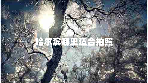 哈爾濱哪里適合拍照