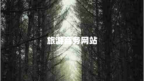 旅游商務(wù)網(wǎng)站 旅游商務(wù)網(wǎng)站