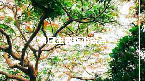 ?？谥饕糜尉包c(diǎn)