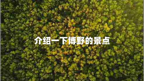 介紹一下博野的景點(diǎn)