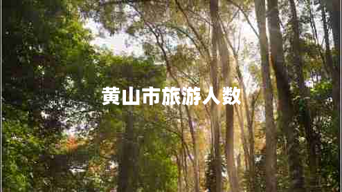 黃山市旅游人數(shù) 黃山市旅游人數(shù)