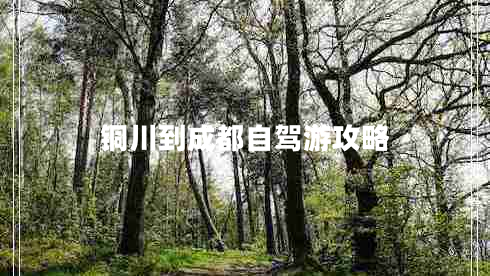 銅川到成都自駕游攻略 銅川到成都自駕游攻略