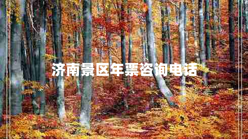 濟南景區(qū)年票咨詢電話 濟南景區(qū)年票咨詢電話