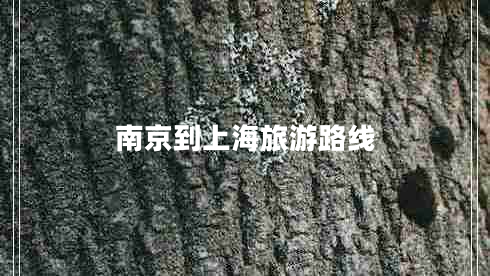 南京到上海旅游路線